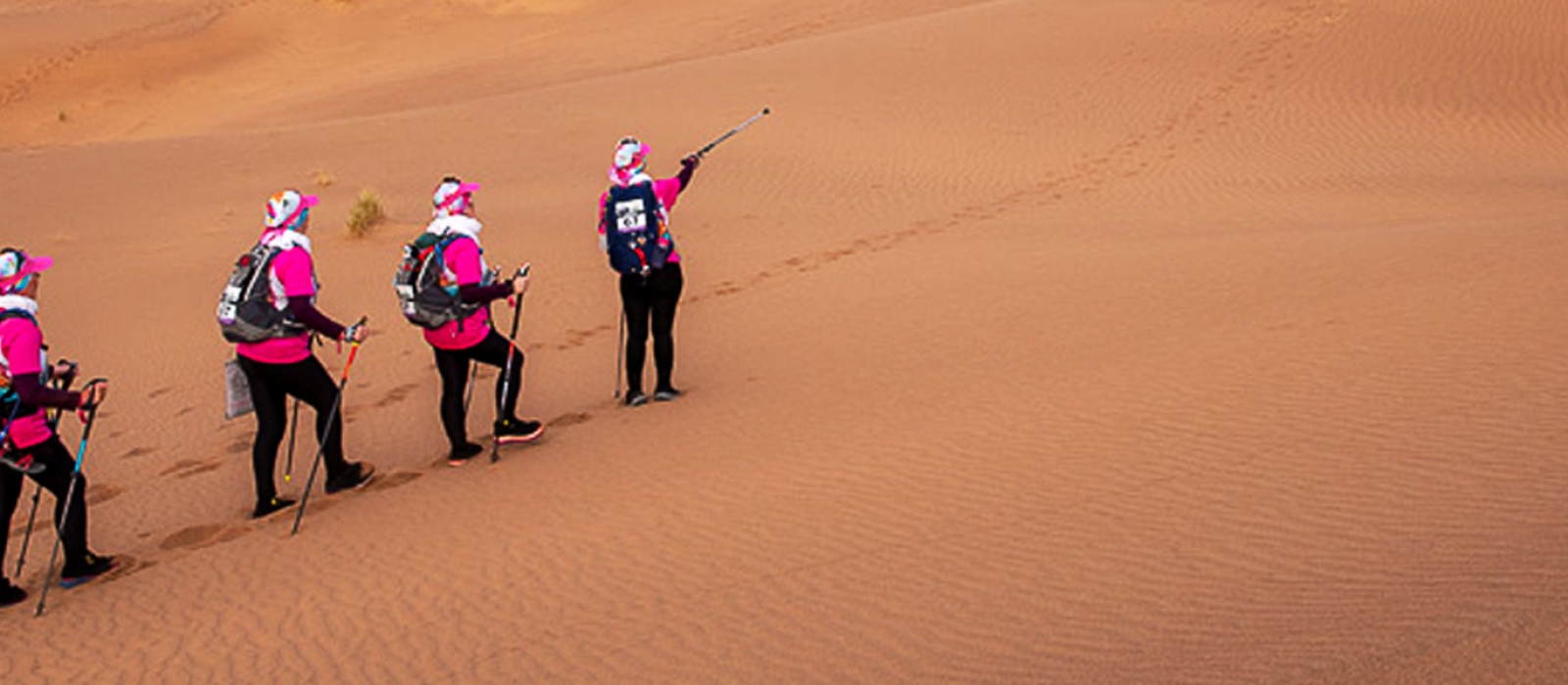 Parenthèse enchantée au coeur du Sahara marocain